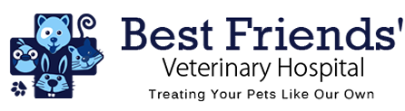 Logo, Best Friends' Veterinary Hospital - Veterinary Hospital