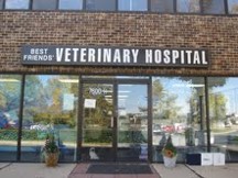 Clinic - Pet Clinic