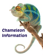 Chameleon Information