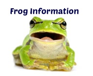 Frog Information