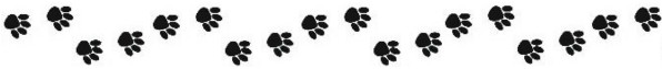 Paw print trail (long) Paw print trail (long)