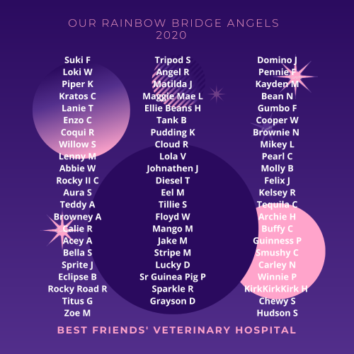 Angel List 2020