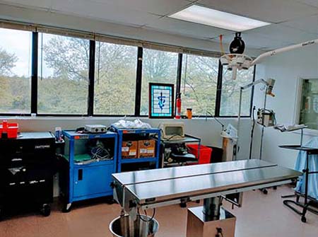 Surgery Suite 2