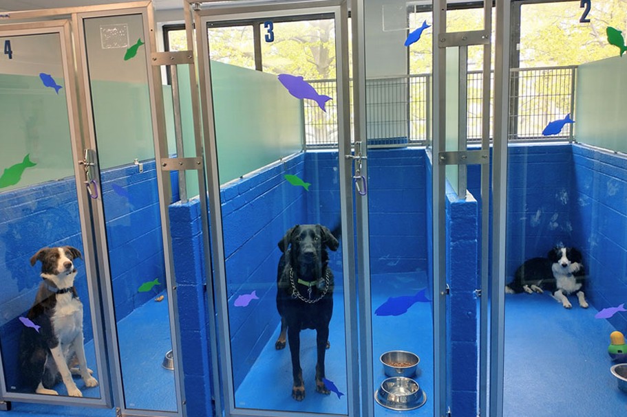 Kennels