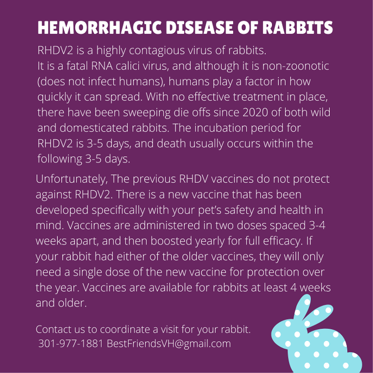 Hemorrhagic Disease of Rabbits